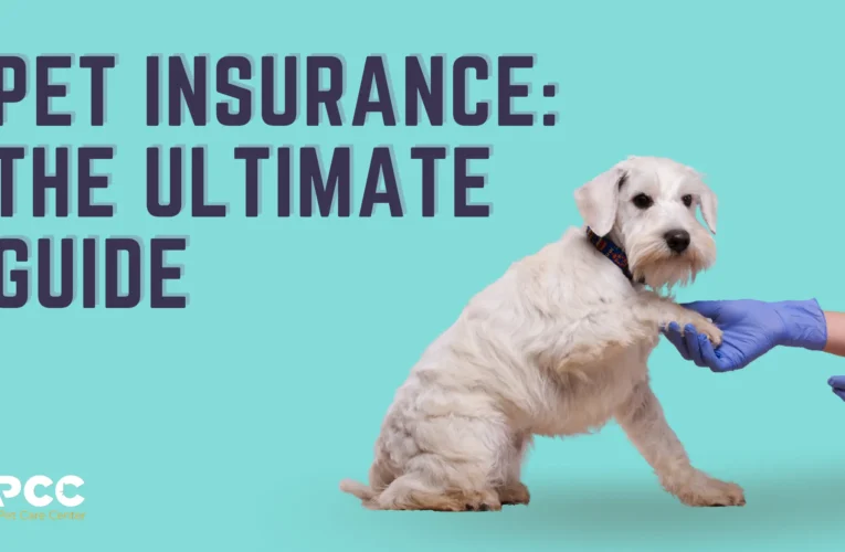 A Guide to Pet Insurance in the US