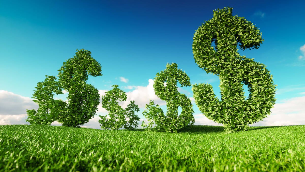 How Eco-Friendly Loans Can Save You Money